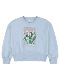 Abercrombie & Fitch Blue Graphic Crew Neck Jumper