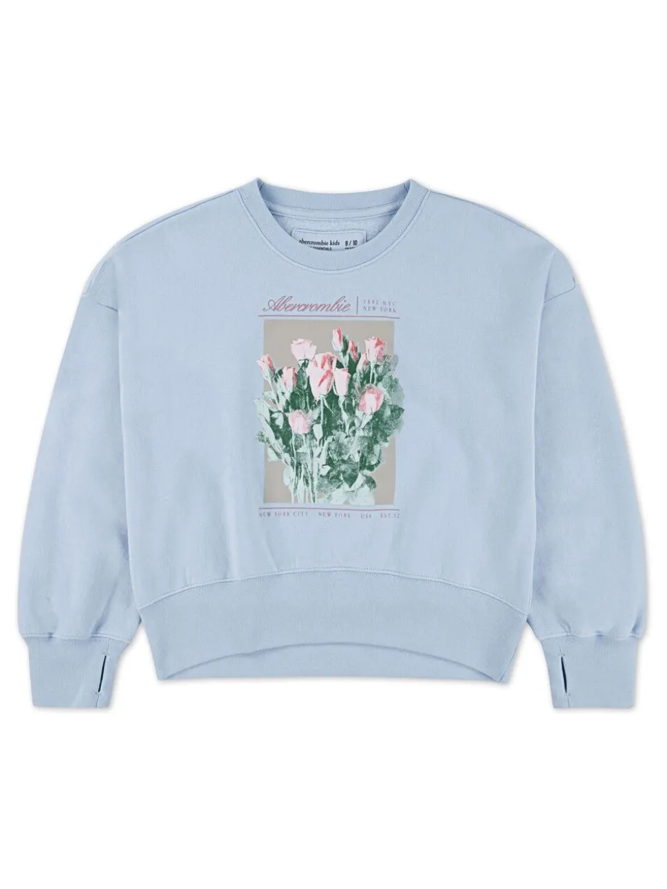 Abercrombie & Fitch Blue Graphic Crew Neck Jumper