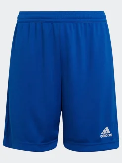 adidas Blue Entrada 22 Shorts
