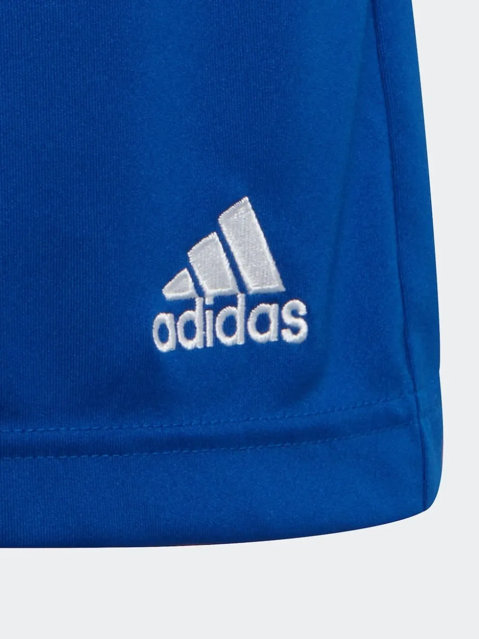adidas Blue Entrada 22 Shorts