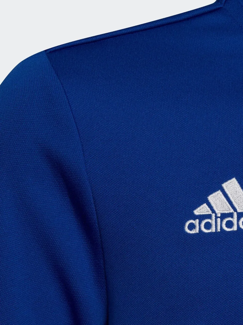 adidas Bright Blue Entrada 22 Training Top