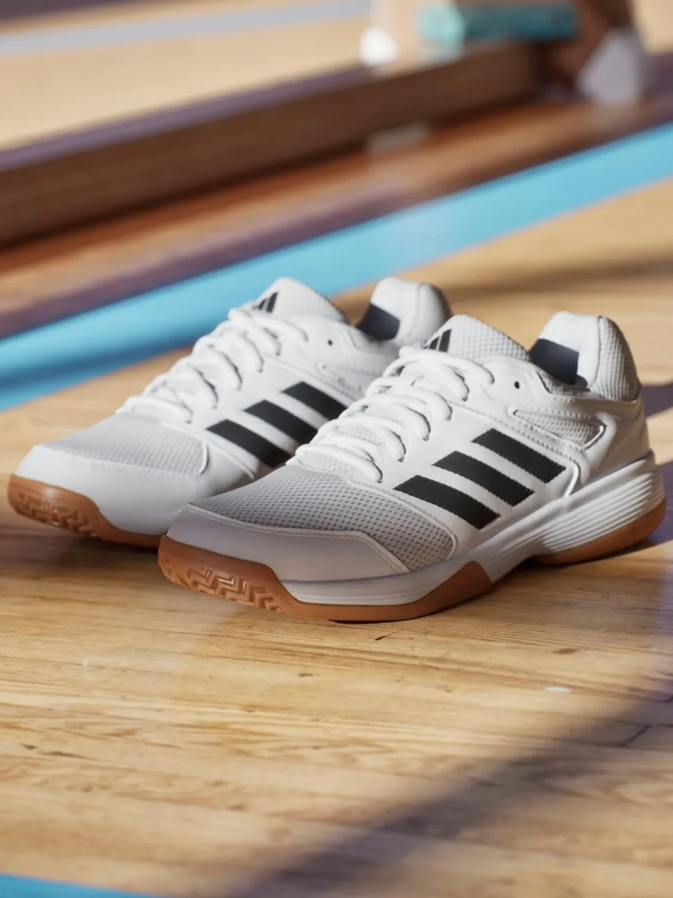 adidas White Speedcourt Indoor Shoes