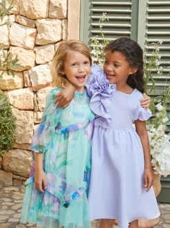 Angel & Rocket Blue Cara Printed Swing Mesh Dress