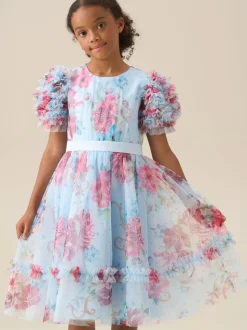 Angel & Rocket Blue Florence Blush Ruffle Sleeve Mesh Dress