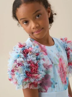 Angel & Rocket Blue Florence Blush Ruffle Sleeve Mesh Dress