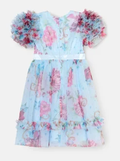 Angel & Rocket Blue Florence Blush Ruffle Sleeve Mesh Dress