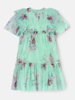 Angel & Rocket Green Rosa Floral Mesh Dress