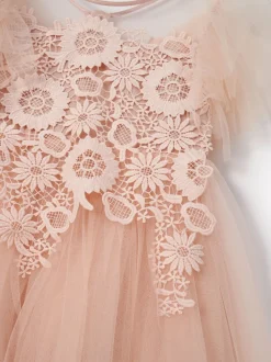 Angel & Rocket Pink Cascade Lace Anelise Dress