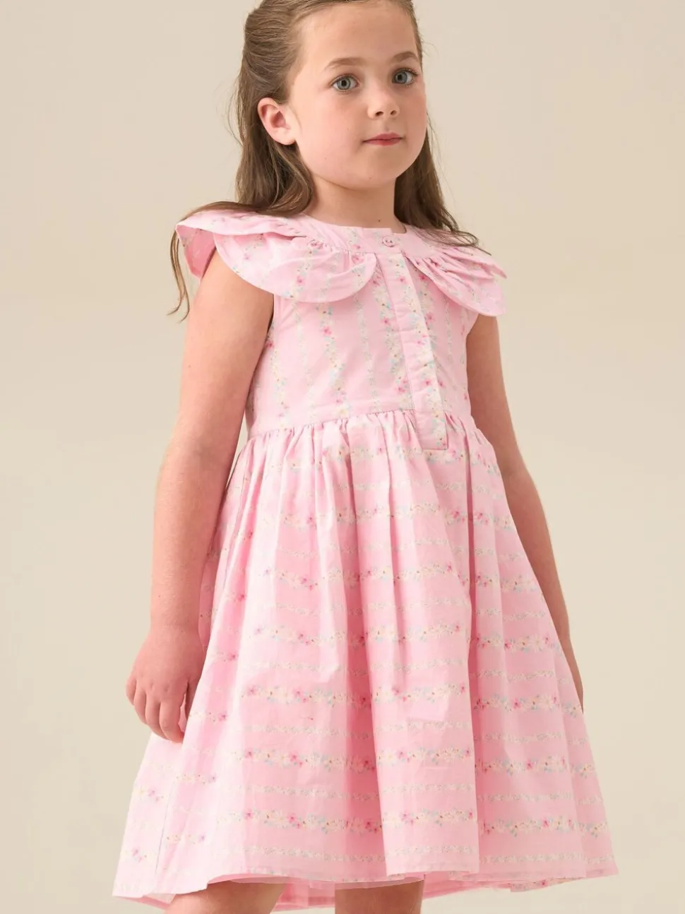 Angel & Rocket Pink Ellery Floral Stripe Petal Collar Dress