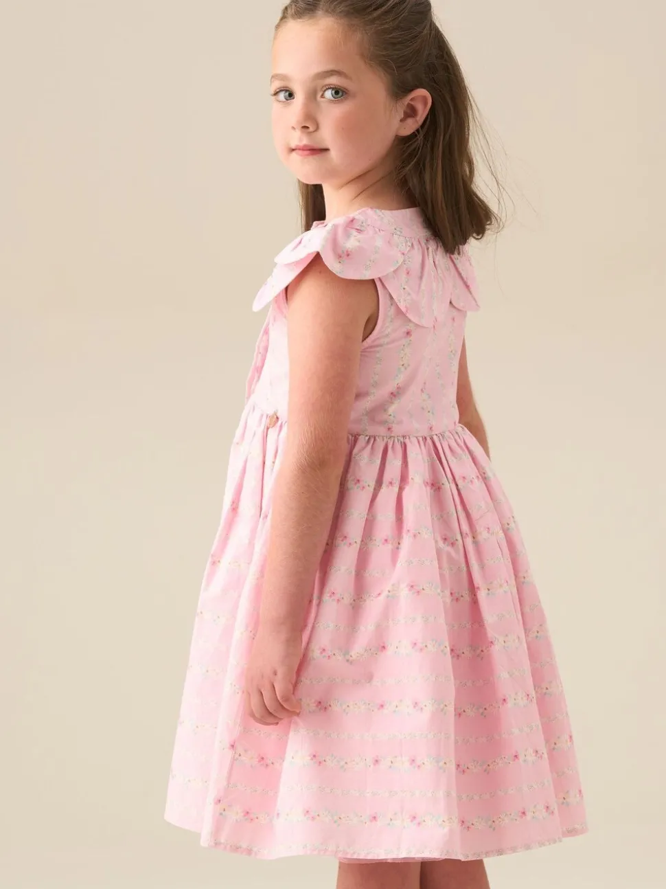Angel & Rocket Pink Ellery Floral Stripe Petal Collar Dress