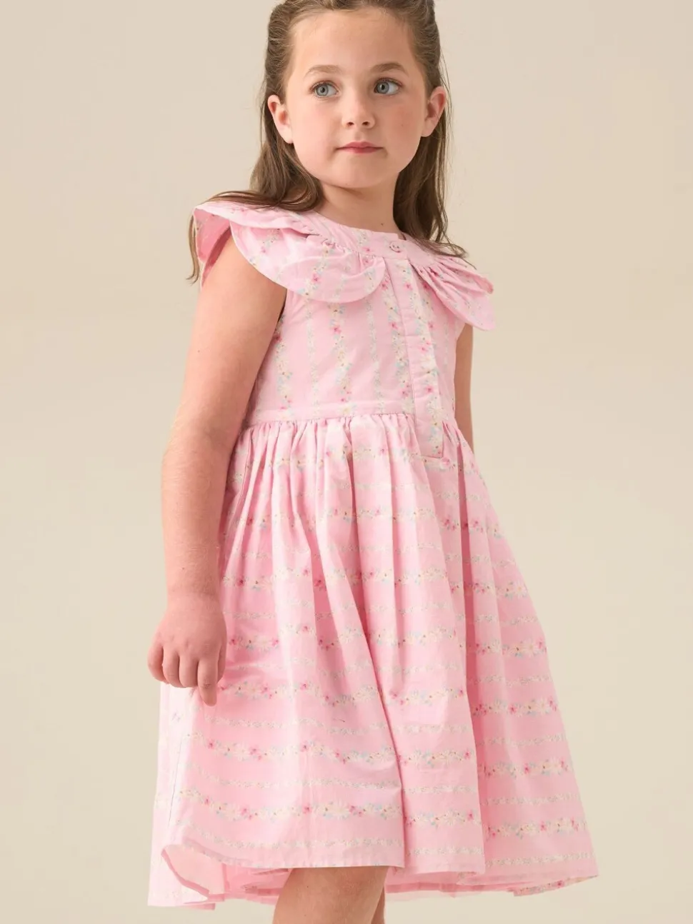 Angel & Rocket Pink Ellery Floral Stripe Petal Collar Dress
