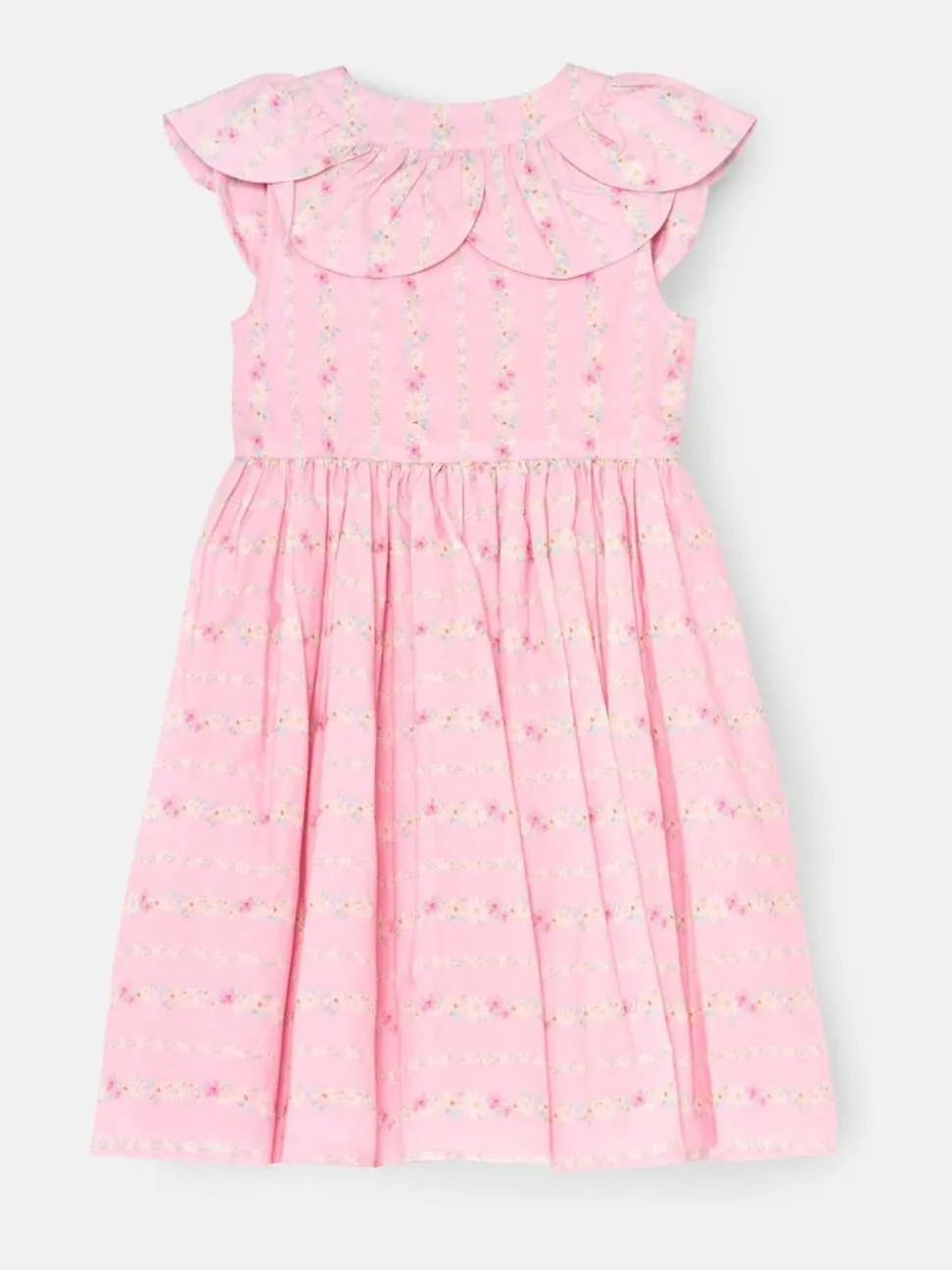 Angel & Rocket Pink Ellery Floral Stripe Petal Collar Dress