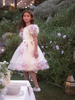 Angel & Rocket Pink Florence Blush Ruffle Sleeve Mesh Dress