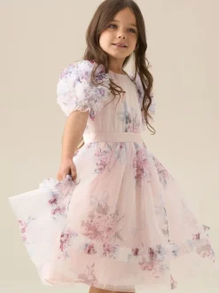 Angel & Rocket Pink Florence Blush Ruffle Sleeve Mesh Dress