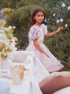 Angel & Rocket Pink Florence Blush Ruffle Sleeve Mesh Dress