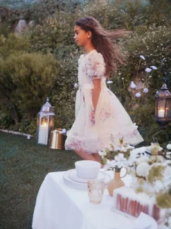 Angel & Rocket Pink Florence Blush Ruffle Sleeve Mesh Dress