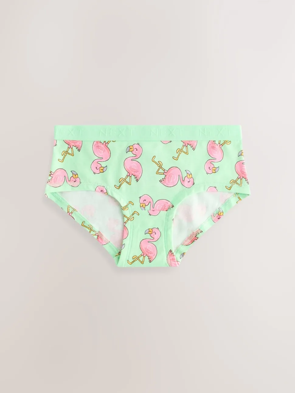 Aqua/Pink Hipster Briefs 5 Pack (2-16yrs)