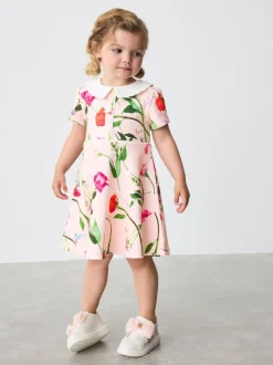 Baker by Ted Baker Bow Collared Ponte Dress