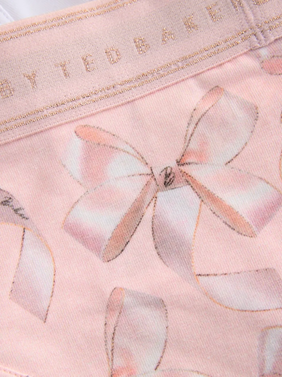 Baker by Ted Baker Briefs 3 Pack