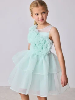 Baker by Ted Baker Corsage Organza Occasion Dress