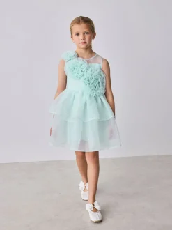 Baker by Ted Baker Corsage Organza Occasion Dress