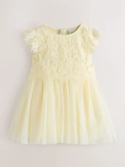 Baker by Ted Baker Lace Mesh Dress