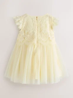 Baker by Ted Baker Lace Mesh Dress