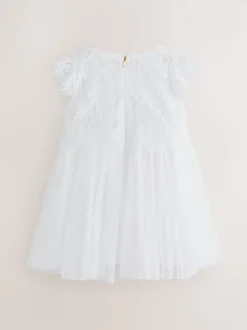 Baker by Ted Baker Lace Mesh Dress