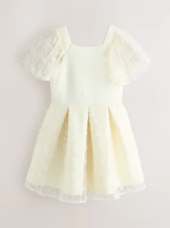 Baker by Ted Baker Mesh Overlay Angel Sleeve Scuba Dress