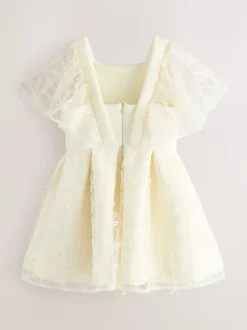 Baker by Ted Baker Mesh Overlay Angel Sleeve Scuba Dress