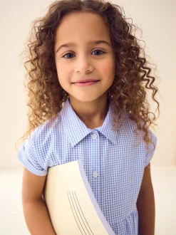 Blue Cotton Rich School Gingham Tiered Shirt Collar Dress (3-14yrs)