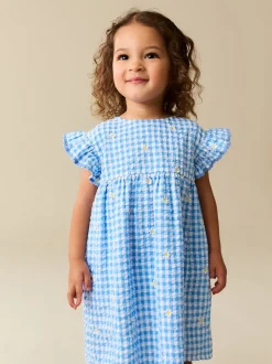 Blue Gingham Ric Rac Frill Sleeve Dress (3mths-8yrs)