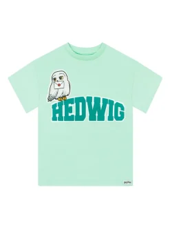 Character Green Harry Potter Hedwig Boxy T-Shirt