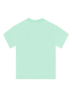 Character Green Harry Potter Hedwig Boxy T-Shirt