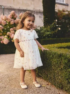 Ivory Embroidered Mesh Dress (3mths-8yrs)