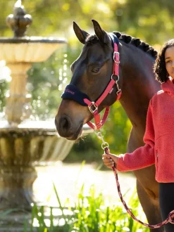 LeMieux Young Rider Avalon Pink Hoodie Cranberry