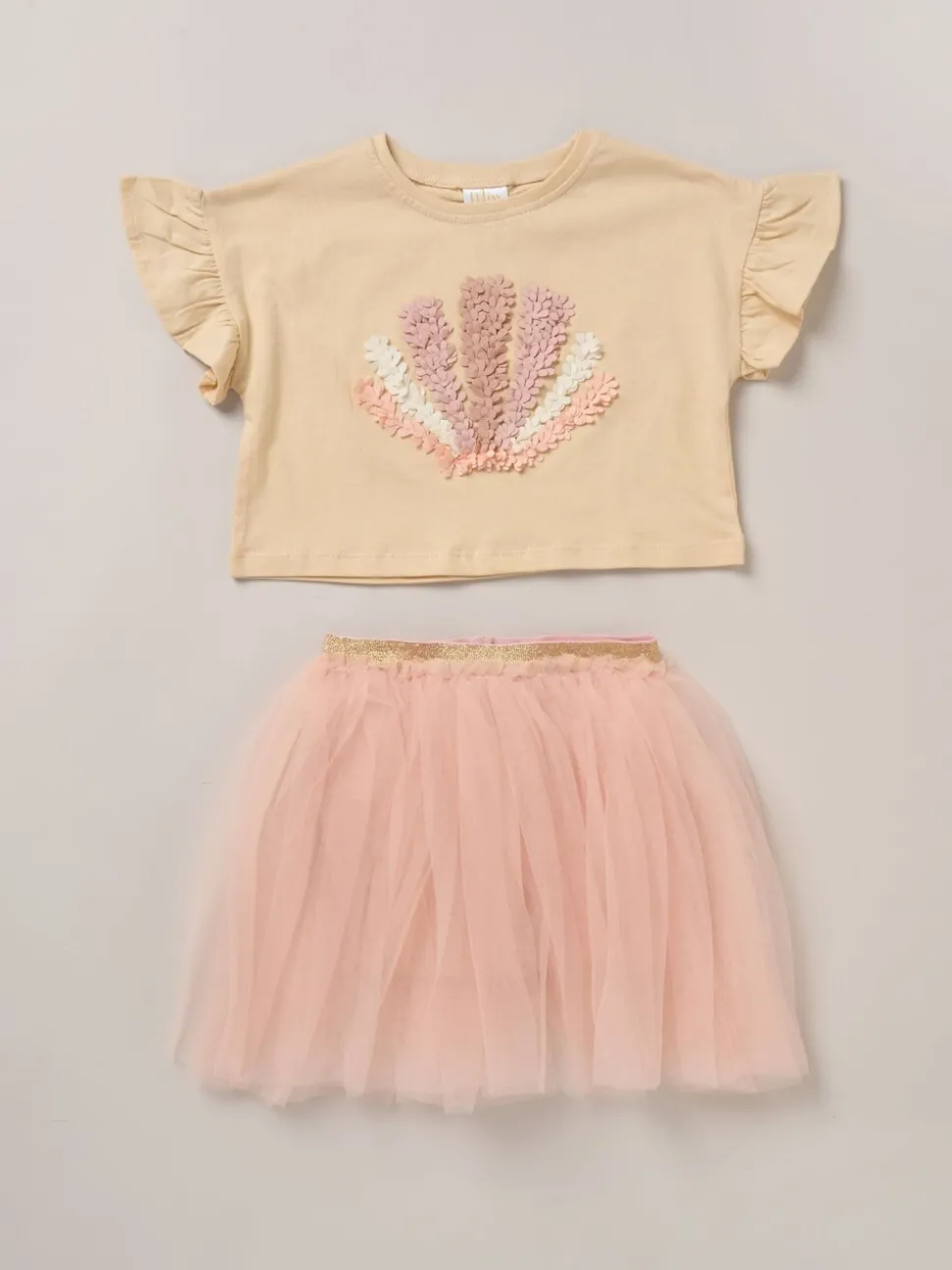 Miss Cropped Printed T-Shirt and Skirt Outfit Set