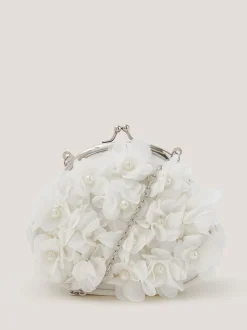 Monsoon Cream Appliqué Floral Cluster Clip Frame Bag