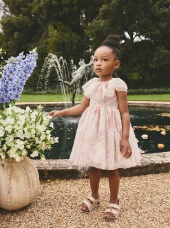 Pink Floral Ruffle Collar Mesh Dress (3mths-7yrs)