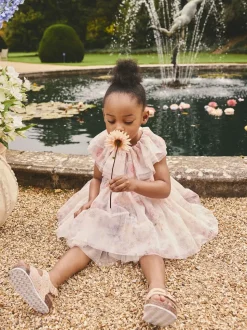 Pink Floral Ruffle Collar Mesh Dress (3mths-7yrs)