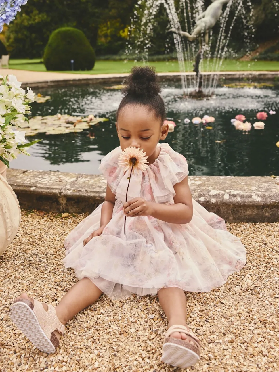 Pink Floral Ruffle Collar Mesh Dress (3mths-7yrs)