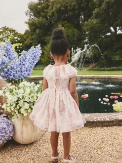 Pink Floral Ruffle Collar Mesh Dress (3mths-7yrs)