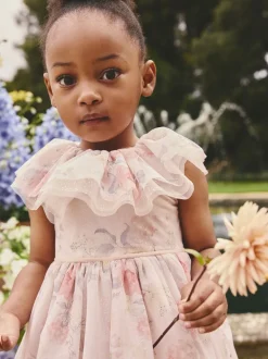 Pink Floral Ruffle Collar Mesh Dress (3mths-7yrs)