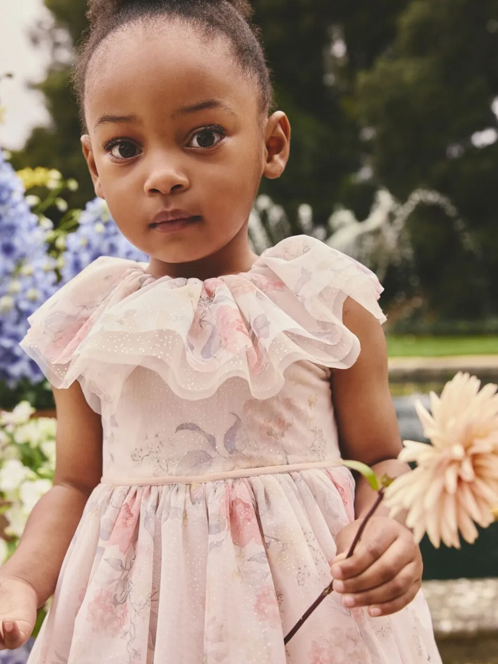Pink Floral Ruffle Collar Mesh Dress (3mths-7yrs)