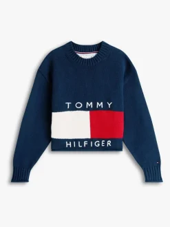 Tommy Hilfiger Blue Logo Embroidery Relaxed Crew Neck Jumper