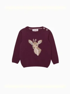 Trotters London Red Dasher Jumper