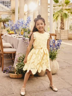 Yellow Lace Occasion Dress (3-16yrs)