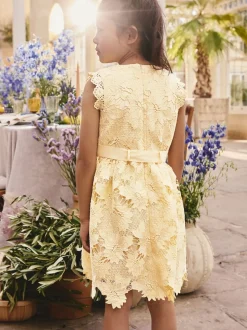 Yellow Lace Occasion Dress (3-16yrs)